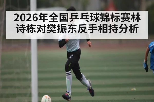 2026年全国乒乓球锦标赛林诗栋对樊振东反手相持分析